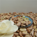 Fabricante de China al por mayor de gran tamaño seco haba faba Bean Fava Bean